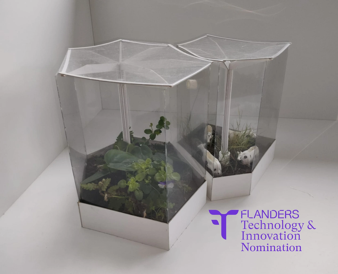 EduTerra self-sustaining terrarium — main view