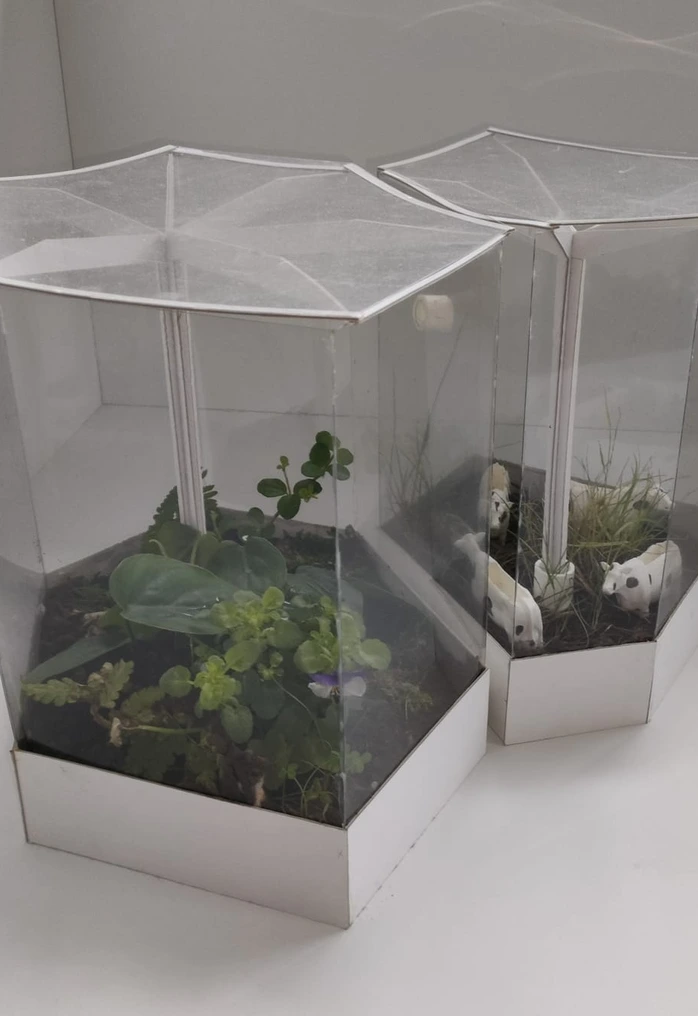 EduTerra self-sustaining terrarium — detail 3