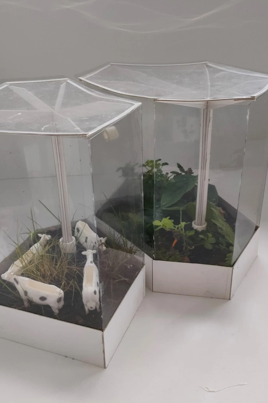 EduTerra self-sustaining terrarium — detail 1