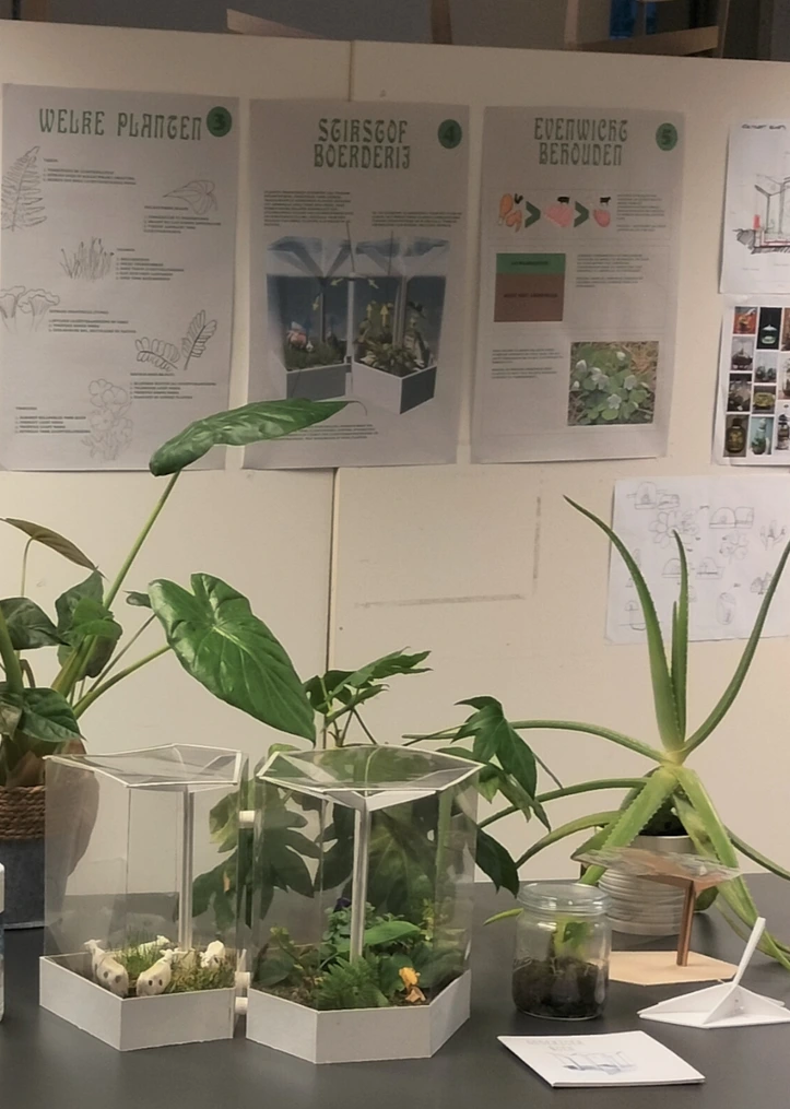 EduTerra self-sustaining terrarium — detail 2